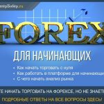 Forex for beginners