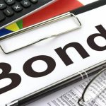 Bonds with debt amortization