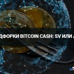 Why Bitcoin SV Split from Bitcoin Cash