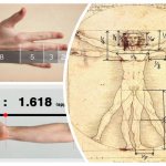 зависимость пропорций человеческого тела последовательность Фибоначи